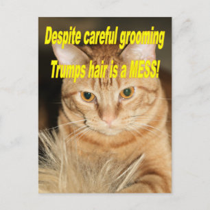 Weird old Trump Postcard