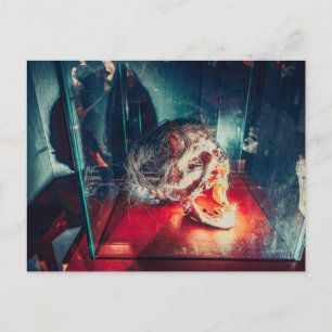 Weird Preserved Head Oddity Postcard