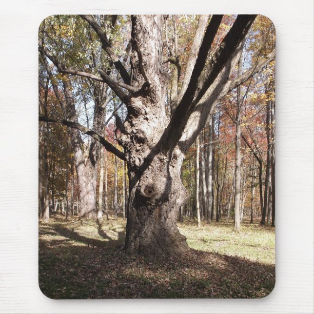 Weird Tree Mouse Mat (Front)