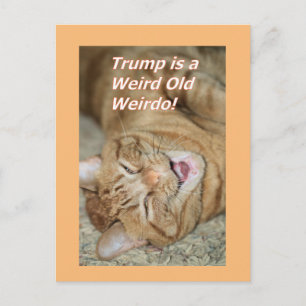 Weird Trump  Holiday Postcard