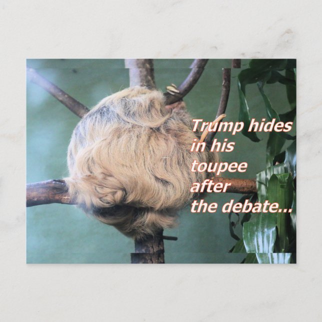 Weird Trump Lost Postcard (Front)