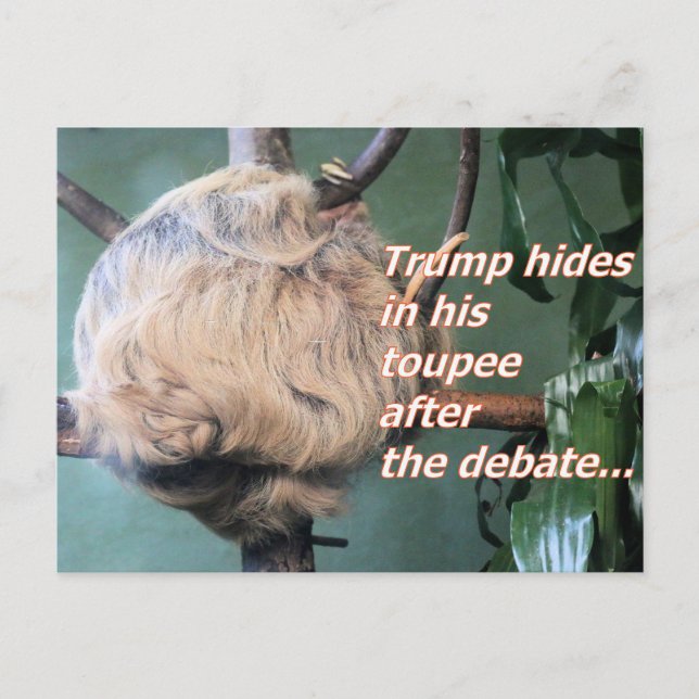 Weird Trump Lost  Postcard (Front)