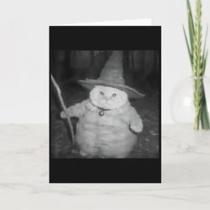Weird Wizard Cat Meme Shirt _ Vintage Soky Design Card
