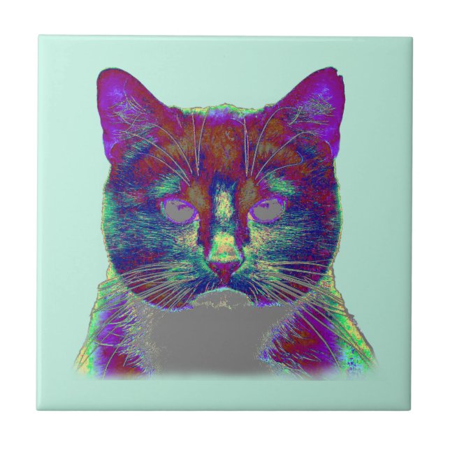 Weirdy Cat Tile (Front)