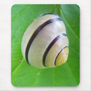 Weiß-braune Schnecke Mouse Mat