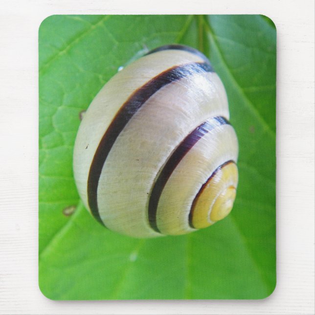 Weiß-braune Schnecke Mouse Mat (Front)