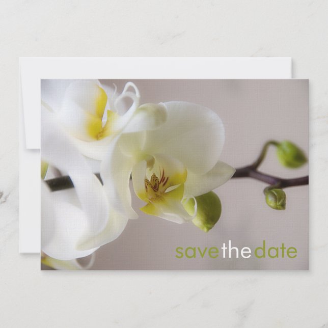 Weiße Orchidee • Save the Date Karte (Front)