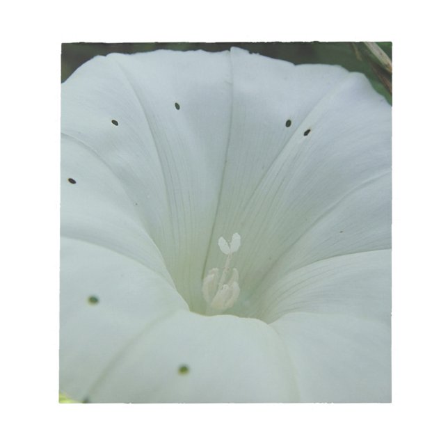 Weisser Blütenkelch Notepad (Front)