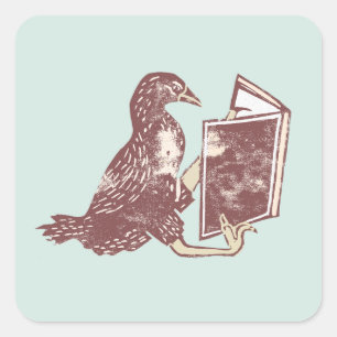 Weka Bird Reading a book Square Sticker
