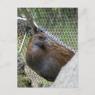 Weka Postcard