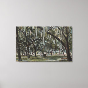 Welaka, FL - View of Welaka Park & Mossy Trees Canvas Print