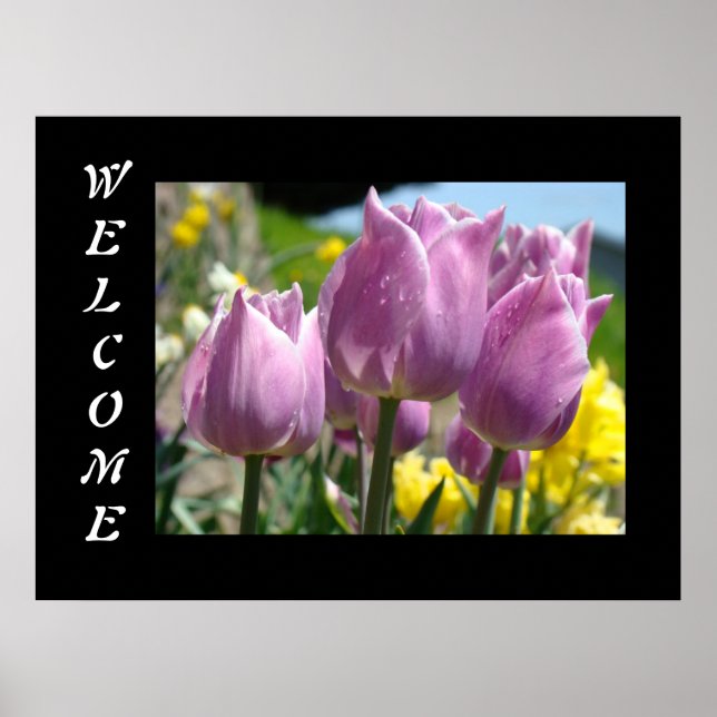 WELCOME art prints posters Spring Tulip Flowers (Front)