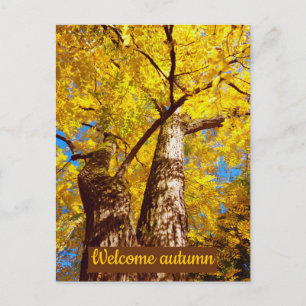 welcome autumn postcard