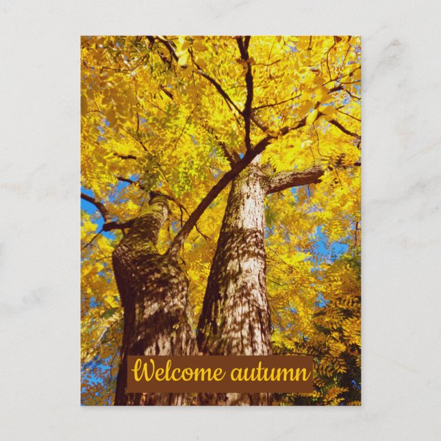 welcome autumn postcard (Front)