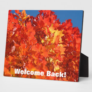 Welcome Back! plaque signs Autumn Counter signs