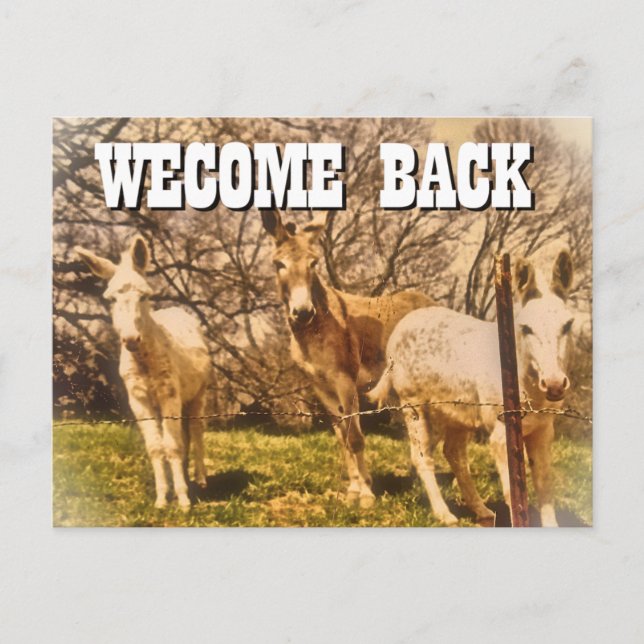 WELCOME BACK Postcard (Front)