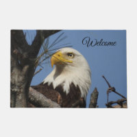 Welcome Bald Eagle in Nest