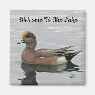 Welcome Duck Photo Wigeon Calm Water Lake House Magnet