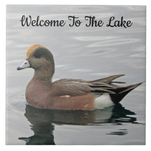 Welcome Duck Photo Wigeon Calm Water Lake House Tile