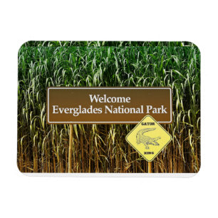 Welcome Everglades National Park, Gator Crossing Magnet