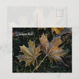 Welcome fall autumn leaves postcard