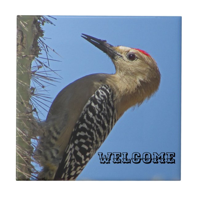Welcome Gila Woodpecker Photo Southwest Bird Tile (Front)