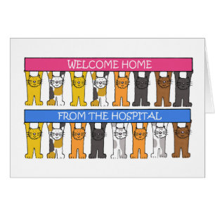 Welcome Home from the Hospital Cartoon Cats