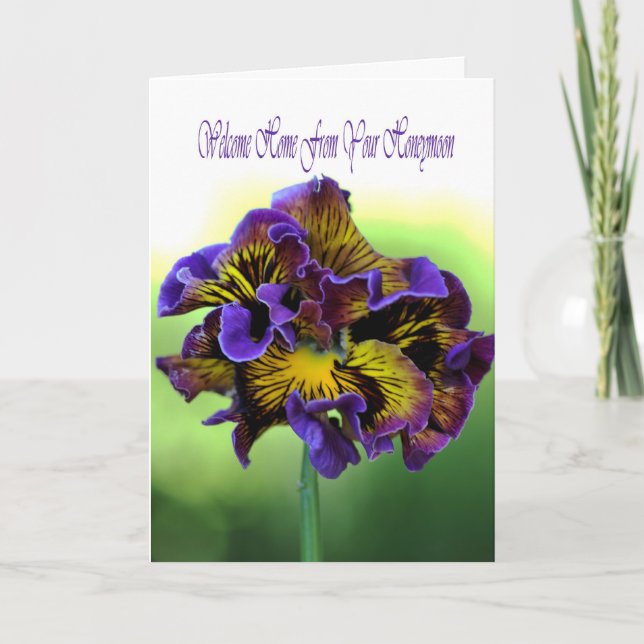 Welcome Home From Your Honeymoon Card (Front)