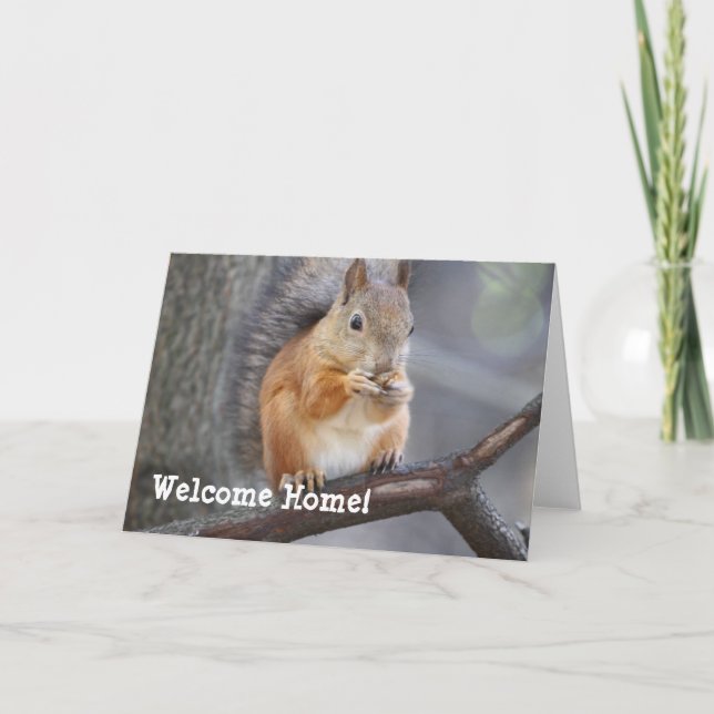 Welcome Home Red Squirrel Greeting Card (Front)