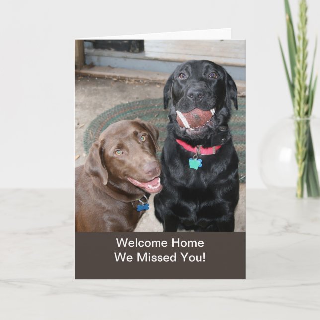 Welcome Home - We Missed You - Dog's World Card (Front)