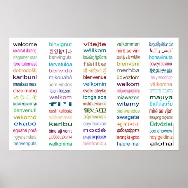 Welcome in 80 languages Poster (Front)