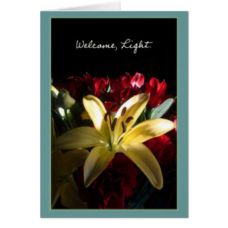 Welcome, Light / Bienvenida, luz