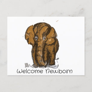 Welcome Newborn Postcard