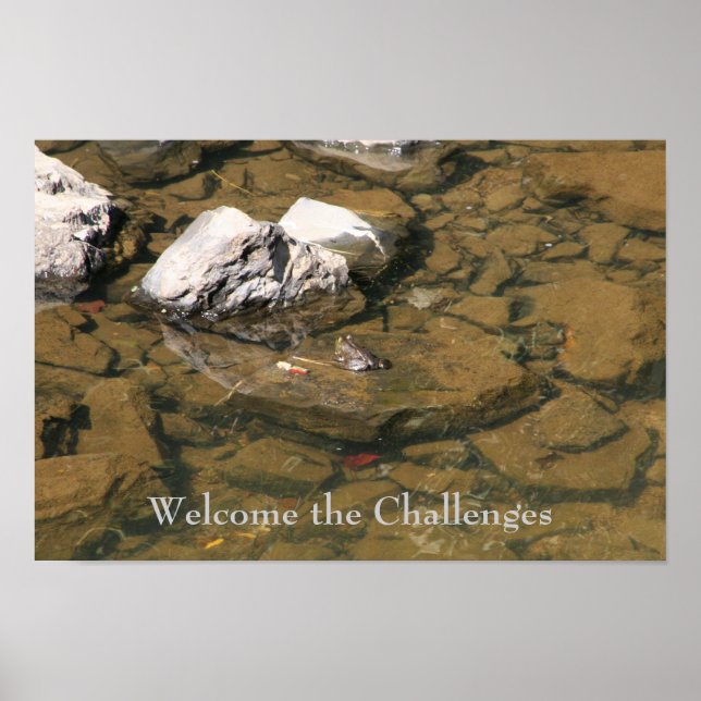Welcome the Challenges Poster (Front)