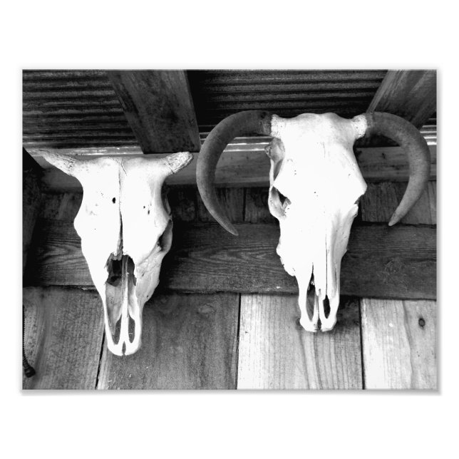 Welcome to Arkansas Photo Print (Front)