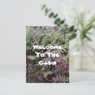 Welcome To Cabin Ferns Photo Forest Plant Guest Postcard