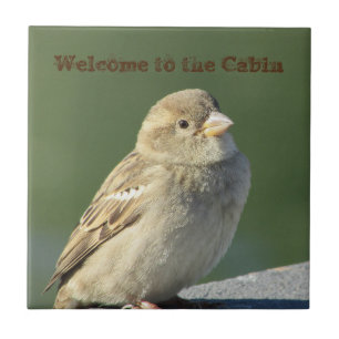 Welcome to Cabin Small Brown Sparrow Photo Bird Tile