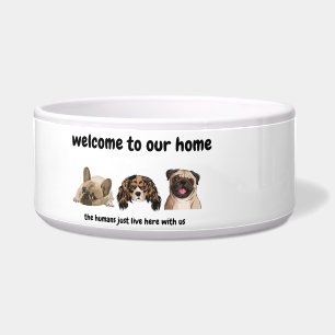 Welcome to dog's home - funny dog bowl