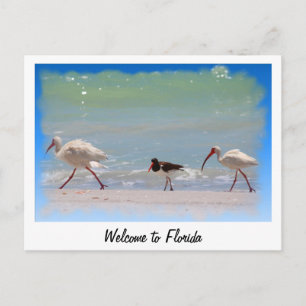 Welcome to Florida summer vacation postcard