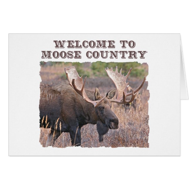 Welcome to Moose Country (Front Horizontal)