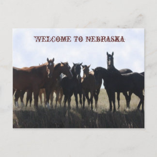 Welcome To Nebraska Postcard