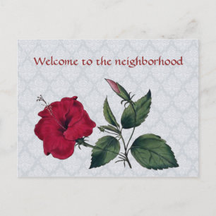 Welcome to Neighbourhood, red hibiscus Postcard