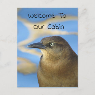 Welcome To Our Cabin Blackbird Photo Wildlife Postcard