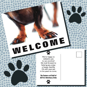 Welcome to Our Office Dog Pets Postcard