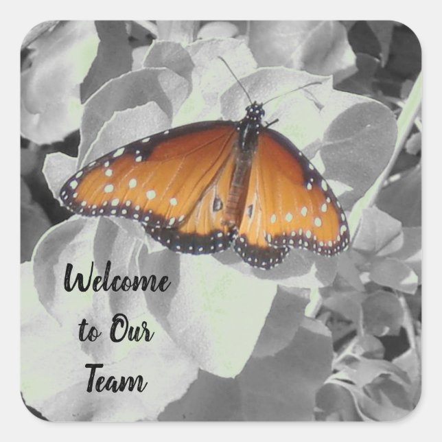 Welcome to Our Team Monarch Photo Business Square Sticker (Front)