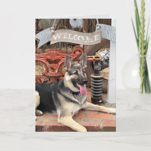 Welcome to Retirement Lucky Dog Card