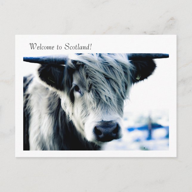 Welcome to Scotland! Postcard (Front)