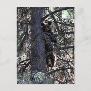 Welcome to Sisters Postcard