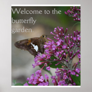 Welcome to the Butterfly Garden Poster--Skipper Poster