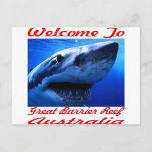 Welcome To The Great Barrier Reef Shark Postcard